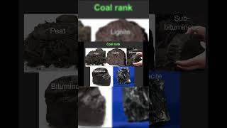 Coal Geology Pt2#shorts #coalmining #mining #geology #history
