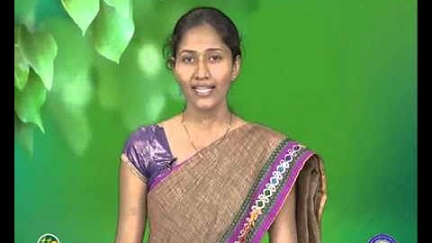 VCP-Std7-Sem1-Unit3-Act5-Epi55-1