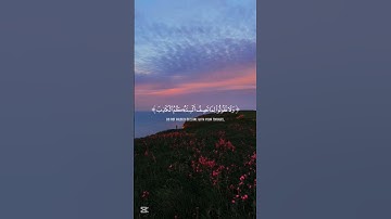 #المنشاوي سورة النحل تلاوة هادئة ❤️‍🩹