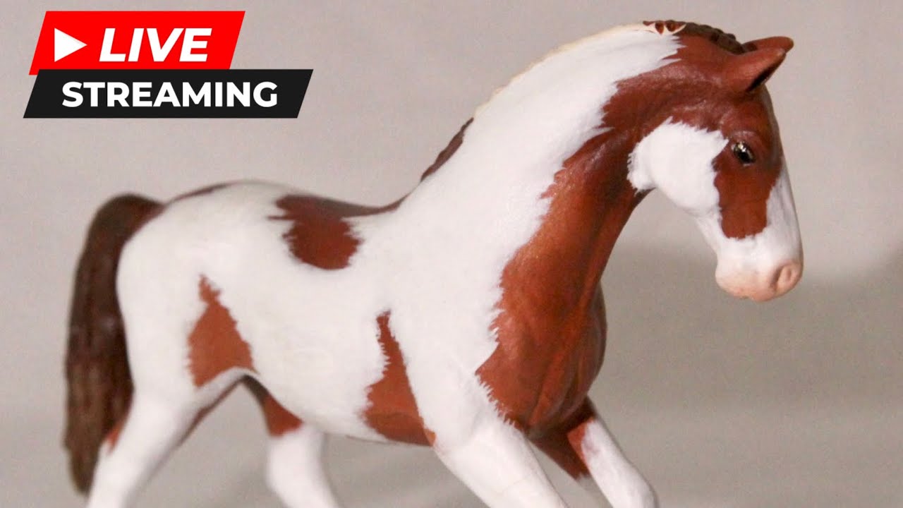 Live Stream! Chimeras, Leopard Appys, Pintos, Rabicanos, Roans!