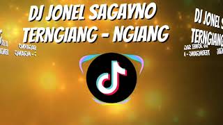 TERNGIANG - NGIANG ft: Dj Jonel Sagayno (teknobudots) remix