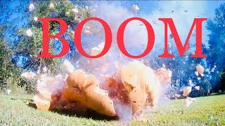 Famous Exploding Arrows: Dukes of Hazzard Style Net Worth