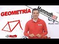 Qué es la geometría de una bicicleta