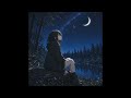 【New Song】小鳥と星空のダンス/Little Bird and the Starry Sky Dance | Mellow LoFi Cover