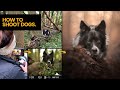 Photography in the Woods Quiz