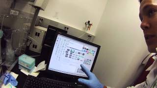 Lab automation - cherry picking from and to 384 well plates