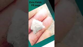 Is this the same hand in Holders & Fields Facebook photos? Exhibit 56 #Delphi #richardallen
