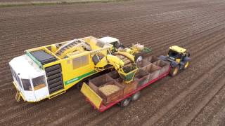 POTATO まとめ売り Root Crops - Ploeger AR 4BX wide body - Potato harvest - YouTube