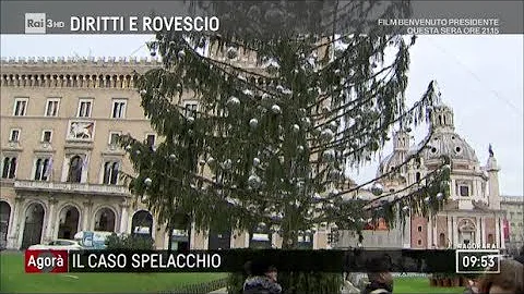 Chi è Spelacchio?