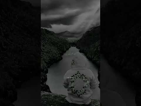 ما مليت قد ما هالوجع الشامي تصميم فيديوهات اغاني ستوريات انستا