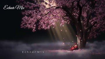 ارح سمعك.. تلاوة هادئة تريح القلب والعقل💙🎧 | مقاطع قرانيه مؤثره قصيره