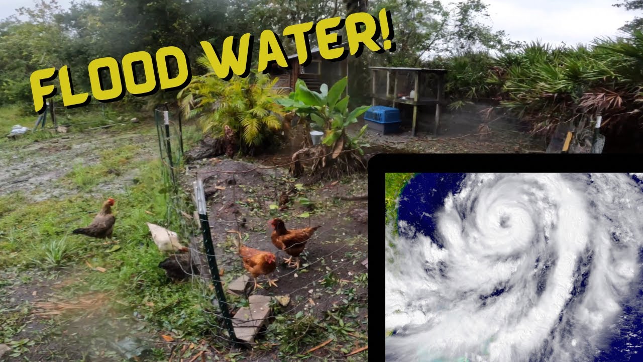 Floods Have Started Over 12 Of Water Hurricane Ian Live Ish Update floods-have-started-over-12-of-water-hurricane-ian-live-ish-update