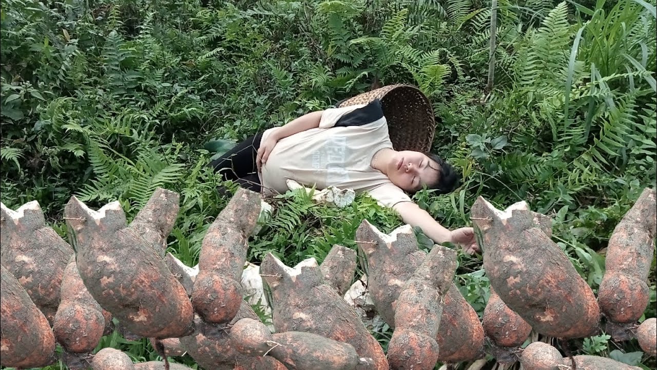 A pregnant woman went into the forest to dig cassava and unfortunately ...