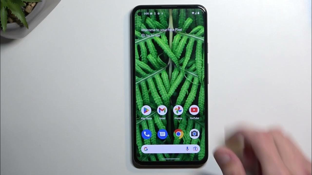 How to Enable Portable Hotspot on Google Pixel 5a Set Up WiFi