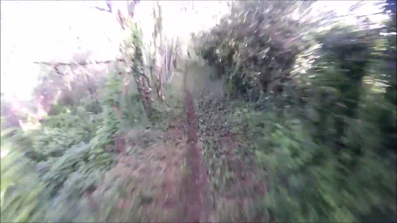 giant talon rc ltd