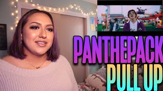 PANTHEPACK - Pull Up MV Reaction