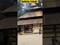 Hadimba Temple #manalitrip #manali #hadimbadevitemple #trending