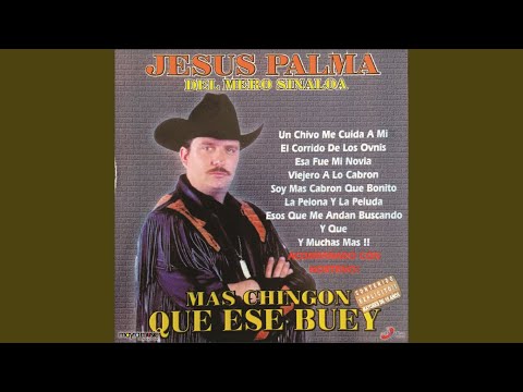El Gallo Jugado