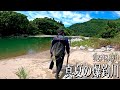 鮎歴2年目の初心者が絶景の川へ遠征したら……。2025年8月9日岐阜県高原川で入れ掛かりを経験しました。