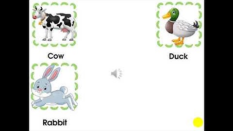 lesson 3 unit 5- animals