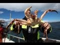 King crabbing in Northern Norway / Königskrabbenfang im Norden Norwegens