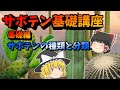 【ゆっくり解説】サボテン基礎講座　基礎編「サボテンの種類と分類」【サボテン講座】