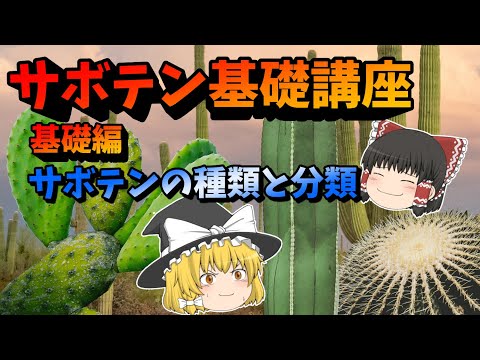 【ゆっくり解説】サボテン基礎講座　基礎編「サボテンの種類と分類」【サボテン講座】