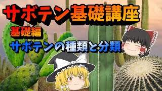 【ゆっくり解説】サボテン基礎講座　基礎編「サボテンの種類と分類」【サボテン講座】