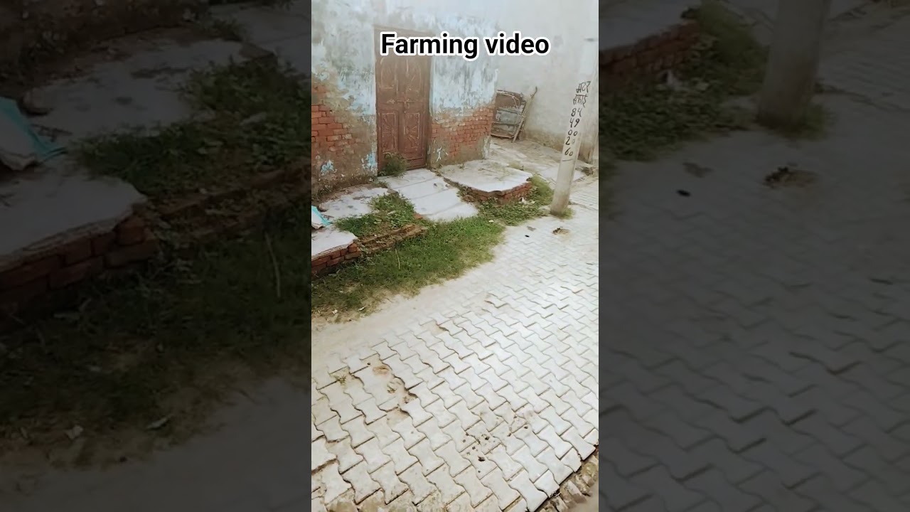 farming video009