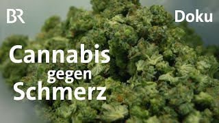 Gras auf Rezept: Medizinisches Cannabis im Kreuzfeuer | DokThema | BR | Doku