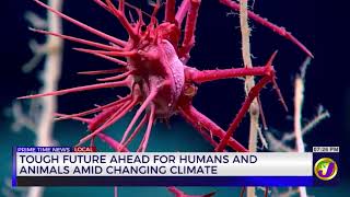 Tough Future Ahead For Humans And Animals Amid Changing Climate | TVJ News