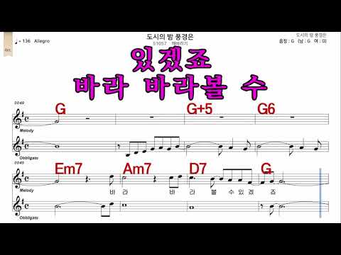 도시의밤풍경은  해바라기  가수처럼  남 원키  G