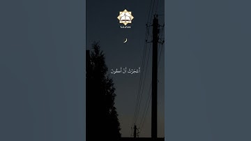 سورة المائدة القارئ سيد سعيد القرآن الكريم