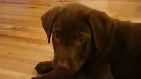 I love you, Charlie