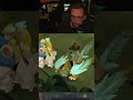 On juge vos skins sur #dofus !