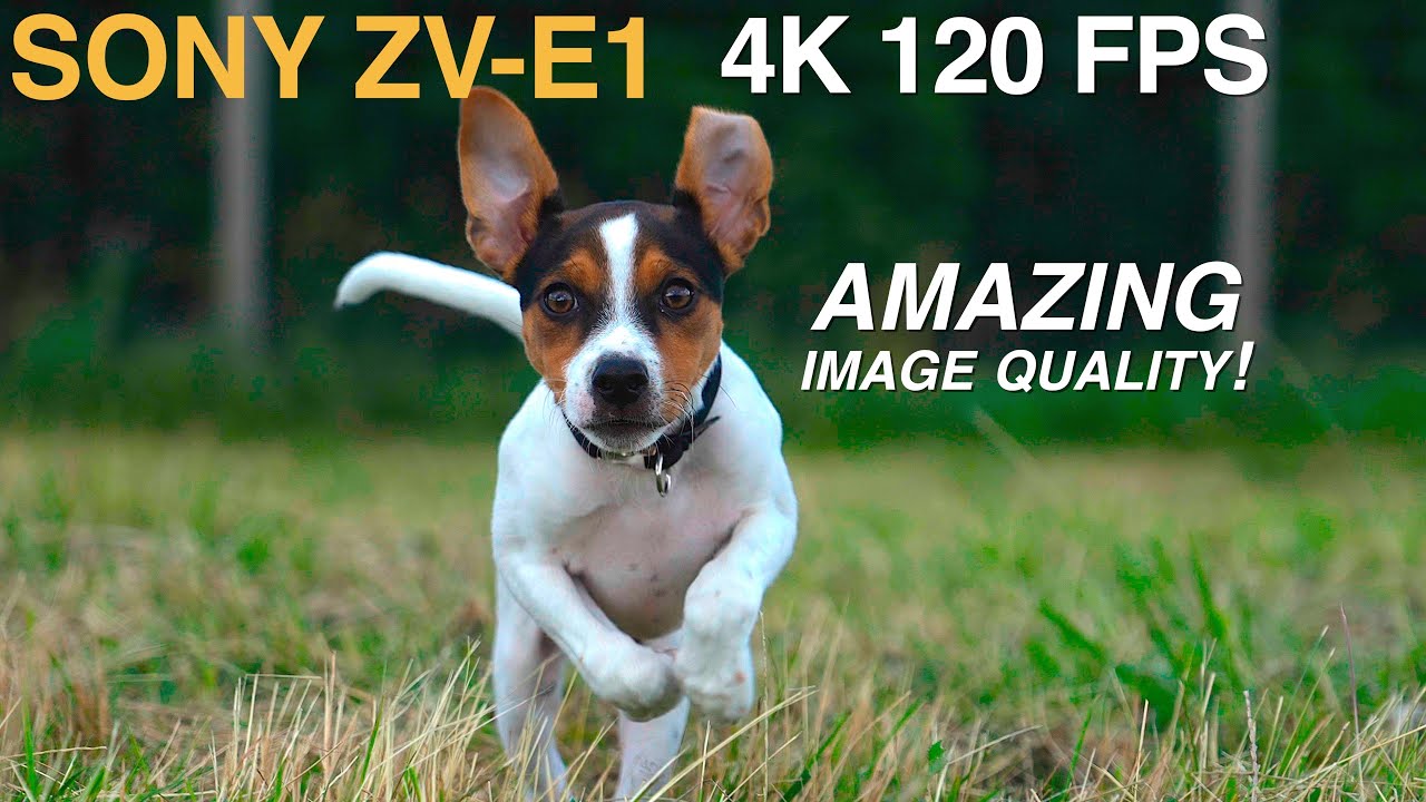 4K 120FPS Slow Motion on ZV-E1! - YouTube