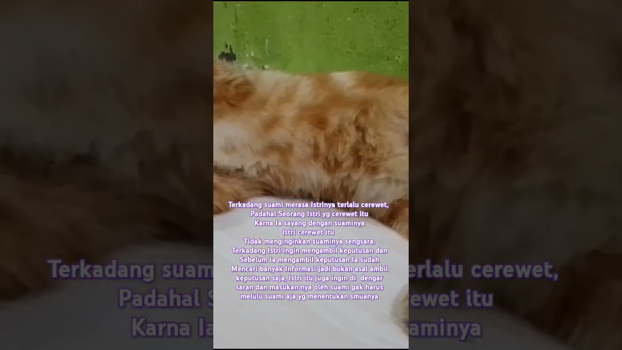 Ambil Keputusan Setelah Banyak Mengumpulkan Informasi