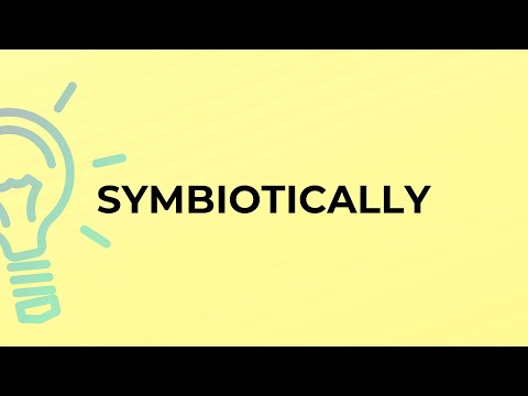 What is the meaning of the word SYMBIOTICALLY?