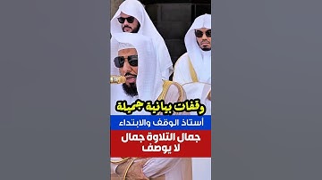 أفلا ينظرون إلى الإبل || وقوف بيانية جميلة أبدع بها فضيلة الشيخ أ. د. عبدالله الجهني سورة الغاشية😍🕋