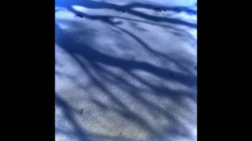 Samuel Edmund -  Again (MAKE NOISE SHARED SYSTEM FULL ALBUM)