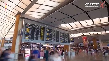 #Conecta: A tool for international mobility