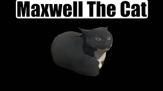 Spinning Maxwell The Cat by Zeddwolff 748 views 1 year ago 31 seconds