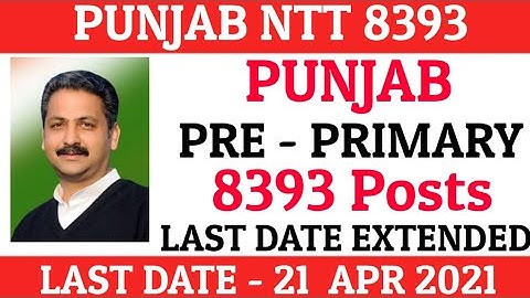 PUNJAB NTT Teacher 8393 Posts || Apply Last Date Extended ||
