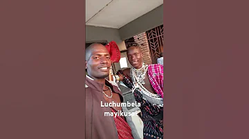 27 11 2024 My Tribe Funny Comedy Sukuma Tribe Farming 
