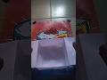 Foldable Paper Container