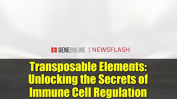 Transposable Elements: Unlocking the Secrets of Immune Cell Regulation