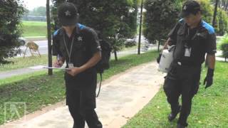 Star Pest Control Pte Ltd