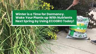 Compost as a Mulch - Fall Tree and Bed Maintenance