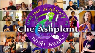 Video thumbnail of "Global Irish Music Session Tune | The Ashplant"