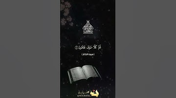 سورة التكاثر | بصوت مؤثر يشرح الصدر | Quran Short - قرآن كريم